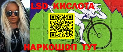 прущие грибы Канаш