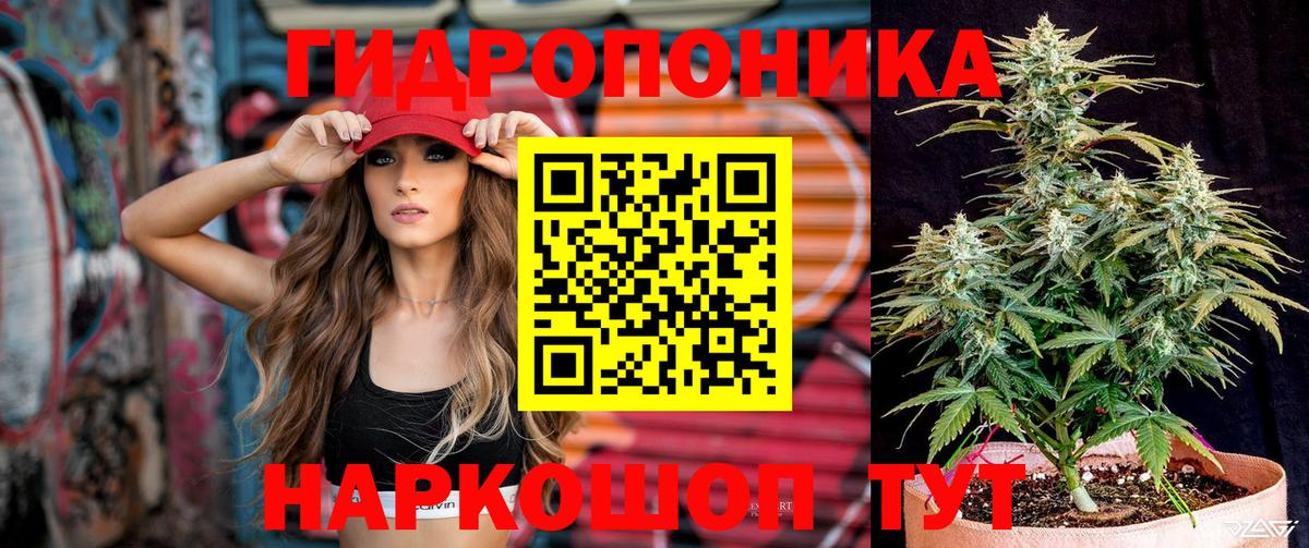 Бошки Шишки SATIVA & INDICA  Марихуана Bruce Banner  Каннабис THC 21%  Кузнецк  Вход с VPN  Каннабис индика 